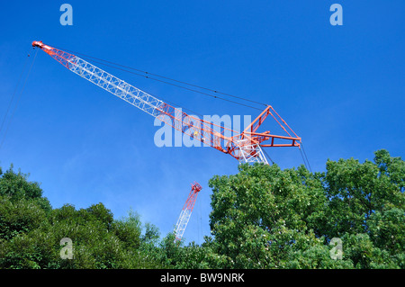 Niedrigen Winkel Schuss Baukräne hinter grünen Bäumen gegen blauen Himmel (Japan) Stockfoto