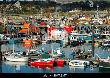 Es gibt viele bunte Fischerboote in Newlyn, Cornwall UK. Stockfoto