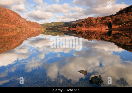 Beddgelert Gwynedd North Wales UK Cloud Spiegelungen im See Llyn Dinas im Nantgwynant-Tal in Snowdonia im Herbst Stockfoto