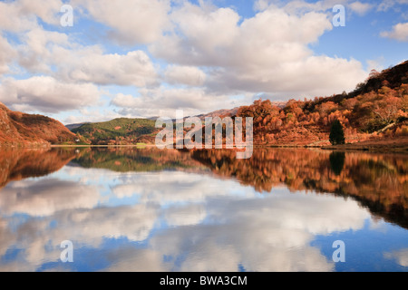 Beddgelert Gwynedd North Wales UK Cloud Spiegelungen im See Llyn Dinas im Nantgwynant-Tal in Snowdonia im Herbst Stockfoto