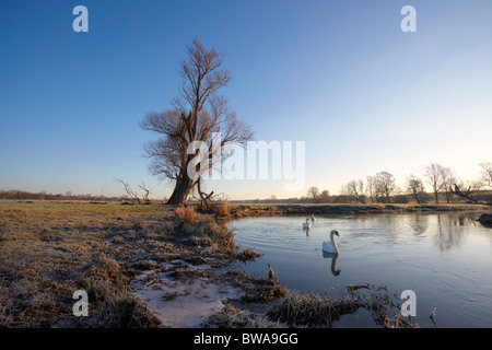Der Fluß Waveney in der Nähe von Mendham, Suffolk, UK, im winter Stockfoto