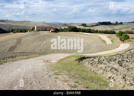 Gewundenen Schotterstraße auf die Sienesen Kreta Landschaft der Toskana Italien Stockfoto