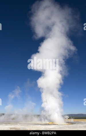 Clepsydra Geyser ausbricht, Yellowstone Stockfoto