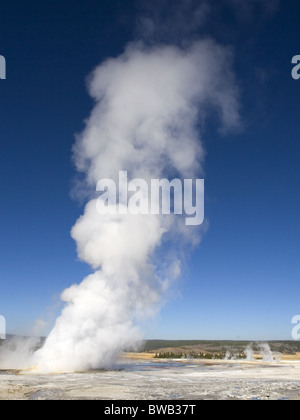 Clepsydra Geyser ausbricht, Yellowstone Stockfoto