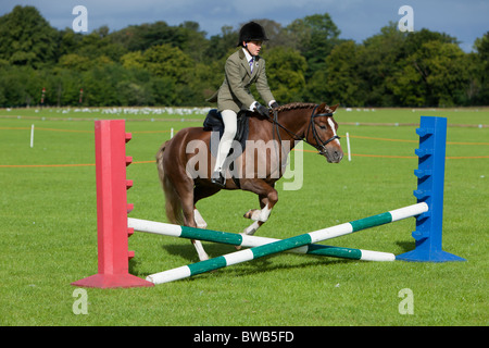 Bei einem Charity-Pferd und Pony Show Jumping Stockfoto