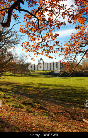 Die Ruinen von Bolton Priory gesehen aus den Wäldern von Bolton Abbey, North Yorkshire, Herbst Stockfoto