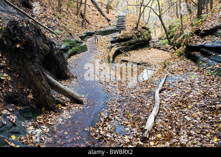 Trail im ausgehungerten Rock State Park Stockfoto