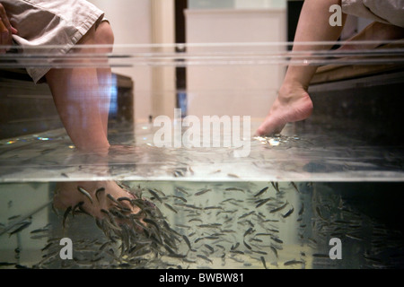 Garra Rufa Fische Therapie in ein Wellness-Center, Tokyo, Japan Stockfoto