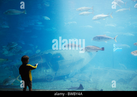Kind in Aquarium betrachten uShaka Marine World, Durban, KwaZulu-Natal, Südafrika Stockfoto