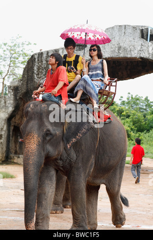 Elefantenritt. Junge chinesische Touristen-paar mit Regenschirm auf Elefanten in Pattaya, Thailand, Oktober 2010 Stockfoto