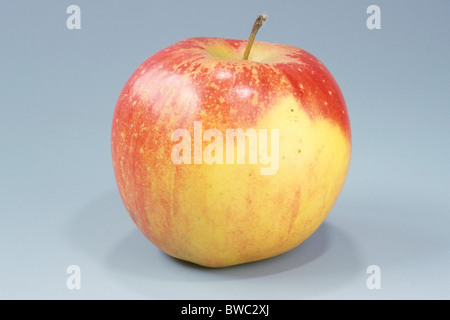 Heimischen Apfel (Malus Domestica), Sorte: Altlaender Pfannkuchen, Obst, Studio Bild. Stockfoto