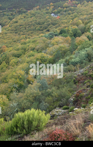 Vilar: ein Dorf im Wald. O Courel, Lugo, Galicien, Spanien. Stockfoto