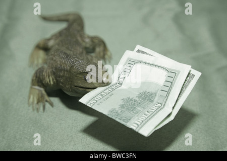 Hölzerne Komodowaran Eidechse Souvenir schnitzen beißende 100 US-Dollar Bill Bank Banknote im Maul Stockfoto