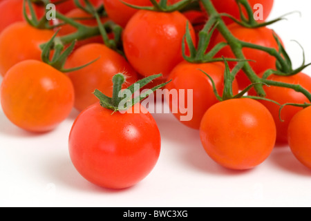 Lebensmittel, Obst, Tomaten, Reife rote Kirschtomaten am Rebstock vor einem weißen Hintergrund. Stockfoto