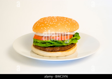 Essen, gekocht, Hamburger, einzelne Viertel-Pfund-Burger mit Zwiebel-Tomaten-Salat in ein Brötchen auf einer Platte auf einem weißen Hintergrund. Stockfoto