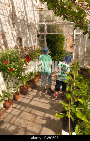 Zwei jungen (MODEL Release) in einem Gewächshaus in der Redisham Hall öffnen Gärten in Redisham, Suffolk, England, Großbritannien, Uk Stockfoto