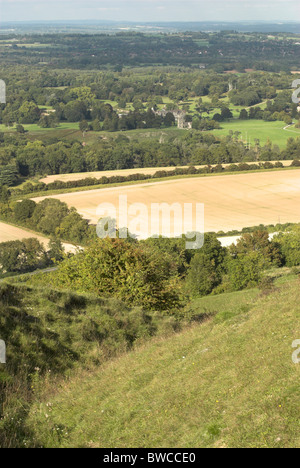 Blick auf die Sussex Weald von Rackham Hügel in den South Downs National Park in West Sussex. Stockfoto