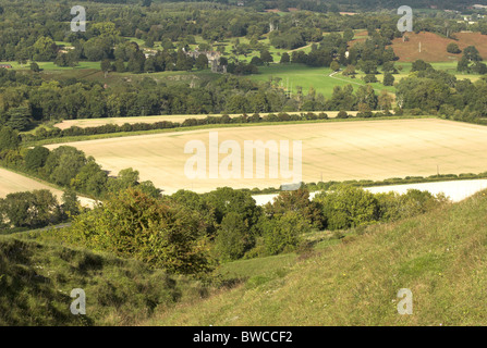 Blick auf die Sussex Weald von Rackham Hügel in den South Downs National Park in West Sussex. Stockfoto