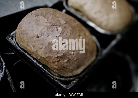 Traditionsbäckerei rustikale Kornspeicher Brote in Zinn Stockfoto