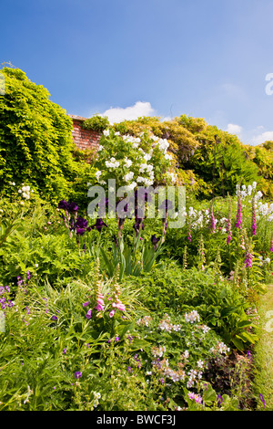 Eine krautige mehrjährige Grenze gegen eine Wand am Rande einer Wiese in einem englischen Landhaus Sommergarten Stockfoto