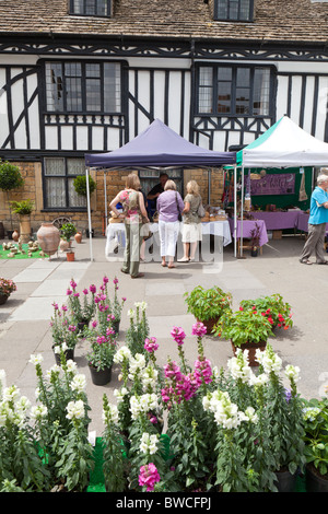 Stände in den Samstagmorgen Straßenmarkt in Sherborne, Dorset Stockfoto
