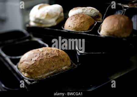 Traditionsbäckerei rustikale Kornspeicher Brote in Zinn Stockfoto