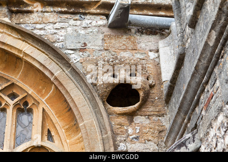 Seltsame gargoyle Art Gesicht in der Nähe der Eingang St Marys Kirche im Dorf Cerne Abbas, Dorset - ein Schornstein für einen Kamin in dem Zimmer, in dem der Priester Stockfoto