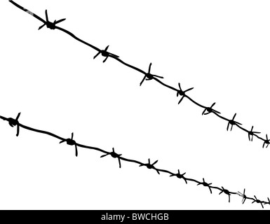 Vektor-Silhouette des Stacheldrahtes auf weißem Hintergrund Stockfoto