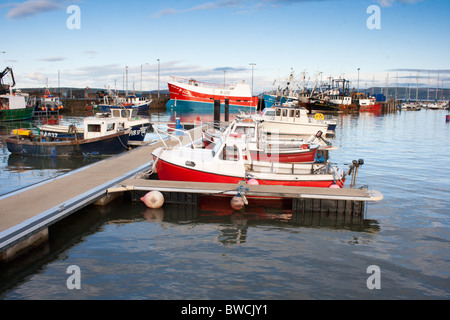 Fischerboote im Hafen von Stranraer / Marina Stockfoto