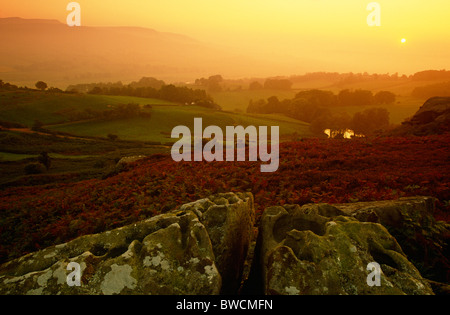 Sonnenuntergang in Coquetdale im Herbst, in der Nähe von Rothbury, Northumberland Stockfoto