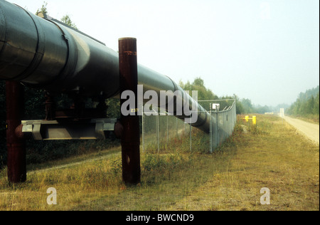 Die Trans-Alaska Pipeline untertauchen bei Meile 8,4 auf dem Steese Highway, Alaska, USA Stockfoto
