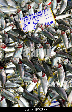 ISTANBUL, TÜRKEI. Schwarzmeer Istavrit (Stöcker) an der Balikcisi (Fischmarkt) vom Goldenen Horn in Karaköy. 2010. Stockfoto