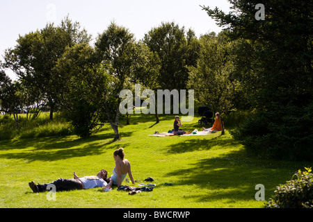 Menschen in einem öffentlichen Park Tjörnin See entspannen. Reykjavik Island Stockfoto