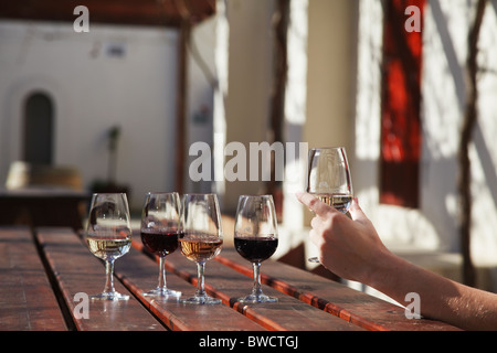 Frau Weinprobe bei Blaauwklippen Wine Estate, Stellenbosch, Western Cape, South Africa (MR) Stockfoto