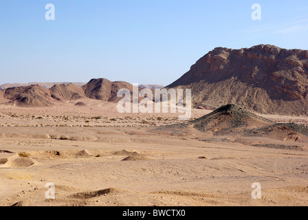 Arides Land in der Wüste. Sahara-Boden im mittleren Afrika. Arabia Erde verwitterte Staub. Bergiges ägyptisches Terrain. Steinige Schmutzklima trostloser Horizont Stockfoto