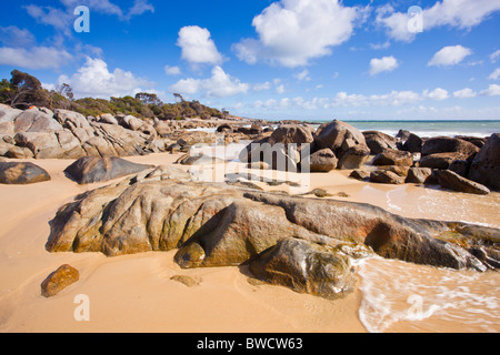 Roten Flechten bedeckt Granitfelsen auf Bridport Strand im nördlichen Tasmanien Stockfoto