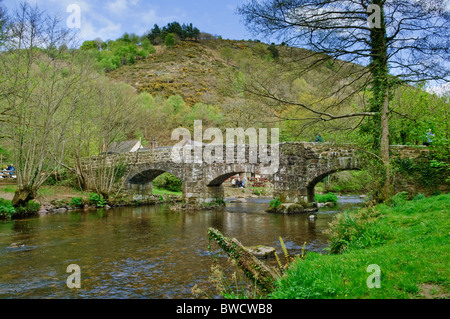 Fingle Bridge über den Fluss Teign im Dartmoor National Park, Devon, England. Stockfoto