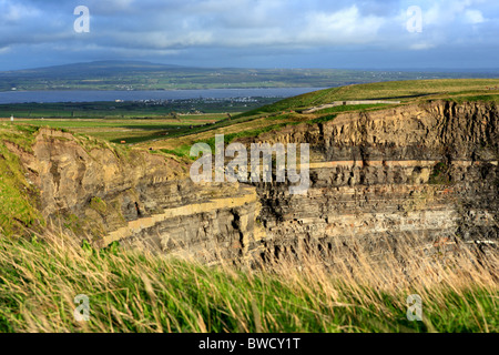 Cliffs of Moher, County Clare, Irland Stockfoto