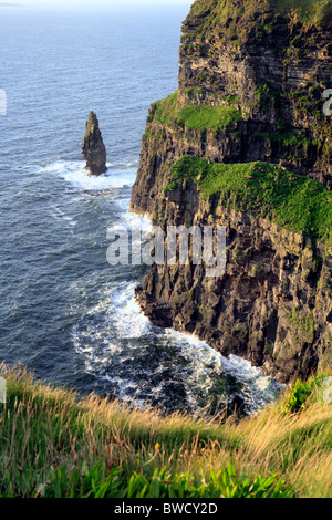 Cliffs of Moher, County Clare, Irland Stockfoto