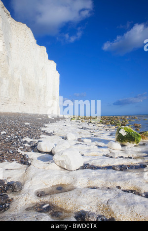 Weiße Klippen von Birling Gap; East Sussex; England; Great Britain Stockfoto