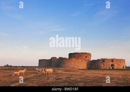 Camber Castle; Roggen; East Sussex; England, Großbritannien Stockfoto