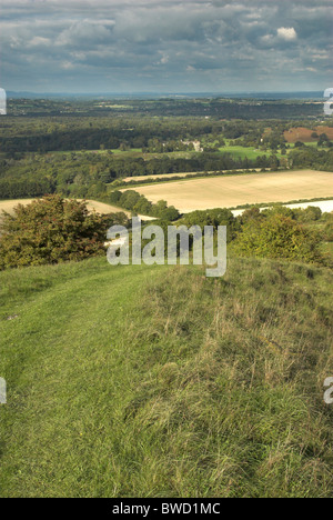 Blick auf die Sussex Weald von Rackham Hügel in den South Downs National Park in West Sussex. Stockfoto