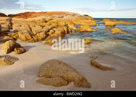 Roten Flechten bedeckt Felsen bei Cosy Corner in die Bay of Fires an Tasmaniens Ostküste Stockfoto