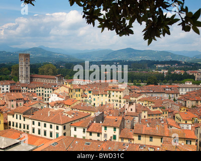 Blick über Lucca von der Spitze des Turmes Torre Guinigi mit der Piazza Anfiteatro sichtbar. Lucca, Toskana, Italien. Stockfoto