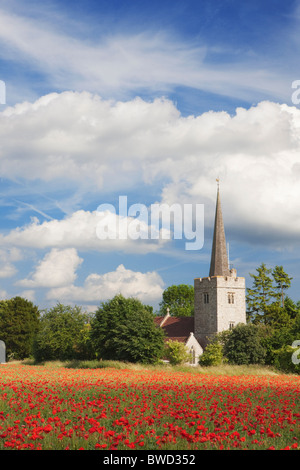 Mohnfeld vor Kirche; Osten Barming; Kent; England Stockfoto