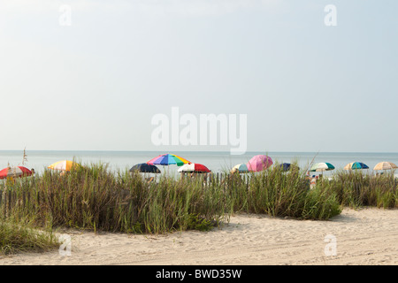 Bunte Sonnenschirme sind eingerichtet, die Schatten an einem dunstigen, sonnigen Tag in Myrtle Beach, SC, USA Stockfoto