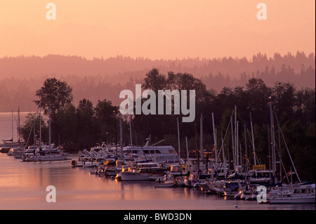 Eröffnungstag der Schifffahrt entlang der Montlake Schnitt mit Booten aufgereiht auf Union Bay Sonnenaufgang Seattle Washington State USA Stockfoto