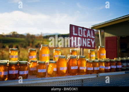 Sonnenlicht shinning durch Gläser Honig von einem am Straßenrand Anbieter in Sperryville Virginia verkauft. Stockfoto