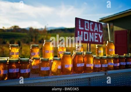 Sonnenlicht shinning durch Gläser Honig von einem am Straßenrand Anbieter in Sperryville Virginia verkauft. Stockfoto