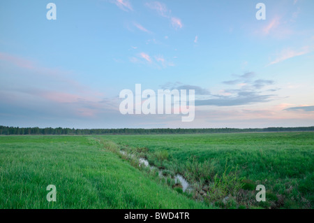 Aue Grünland in Nordlettland Stockfoto